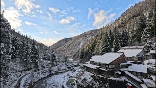 Solo Travel Diaries: Japan 🇯🇵 | Tokyo train to Nagano and Yudanaka | Snow Monkey Park | 14 Dec 2024