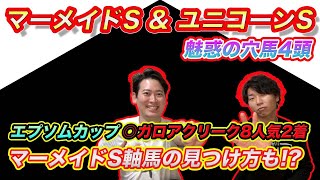 【マーメイドS＆ユニコーンS】エプソムC8人気2着ガロアクリーク推奨！5週連続穴馬発掘なるか!?