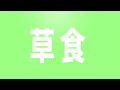 【aviutl】脳漿炸裂ガール｜文字モーション