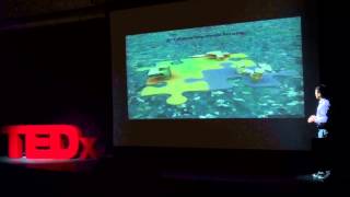 Recycled Islands | Angad Arora | TEDxYouth@DAA