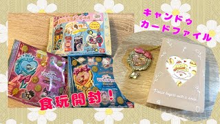 サンリオ　きらっとマジカルチャーム開封/キャンドゥ購入品\u0026カード収納