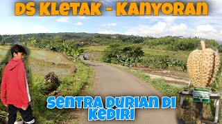 Desa Kletak & Kanyoran Sentra Durian di Kediri