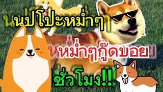 นปโป๊ะหม่ำๆ หม่ำๆกู๊ดบอย 1ชั่วโมง | เพลงฮิต tiktok