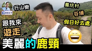 鹿頸Luk Keng 【香港郊遊】遊走美麗的鹿頸｜鳳坑村｜谷埔｜烏蛟騰｜香港郊遊Vlog｜粉嶺｜香港濕地｜紅樹林｜