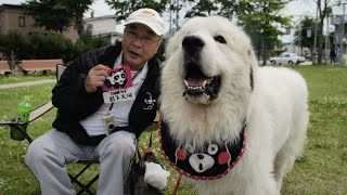 第10回赤毛のわんわん運動会2015 in 北見 ダイジェスト