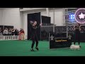 brilliant dogs show off tricks at canadian pet expo 2024 – must see