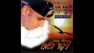 עופר לוי - מבט אחד