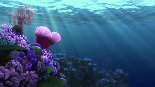 Finding Nemo | Orchestral Cover