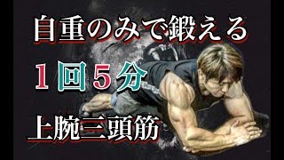 自重のみで鍛える上腕三頭筋の５分間(5minute Triceps Workout)