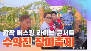 수와진의 [곡성세계장미축제] 라이브 콘서트 21일차