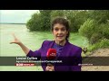 Green algae in Lough Neagh BBC Newsline Evening News 06/08/2024