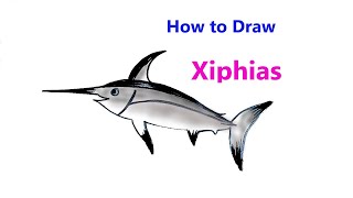 How to draw a Fish Step by Step | Drawings Tutorials for Kids | how to draw a fish easy methods
