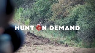 Hirschbrunft in der Eifel – @Huntingroom Hunt on Demand Trailer