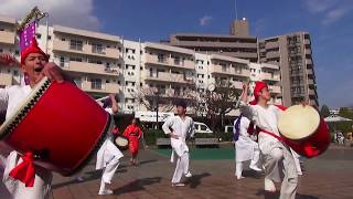 鶴川エイサーよさこい祭り'19 午後の部 町田琉 4-2