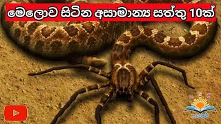 ලෝකයේ සිටින අමුතුම සත්තු 10ය මෙන්න | 10 Unusual animals in the world.