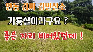 안동 김씨 김번선생 산소. 한자리 더있는데 !