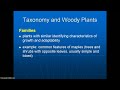 47003 taxonomy and woody plants 1