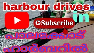 Harbour drivers  Travel blog malayalam.  പാലക്കോട് ഹാർബർ . Driver's life