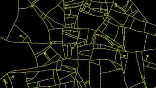 Procedural Road Network - Experiment 13