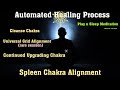 Spleen Chakra Healing and Alignment Meditation