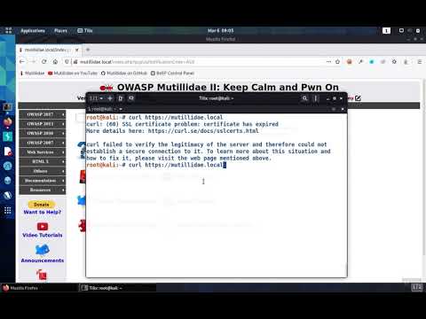 What is curl Cacert?