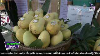 650403 VCR 21 นนทบุรี  จัดงานเทศกาลชิมมะม่วงยายกล่ำของดีเมืองนนท์