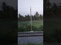 🌿🌴🌳સુંદર પ્રકૃતિ. ટ્રેન દૃશ્ય 🚂🚂