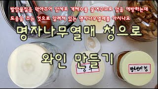 발암물질을 막아주어 암세포 개체수를 줄여주므로 암을 예방하는데 도움을 주는 명자나무열매로  와인 만들기, 명자나무열매 청으로 와인 만드는 방법