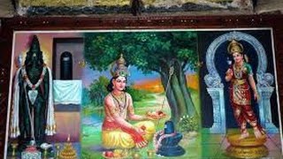 திருப்புகழ் பாடல் 795 பகுதி 300  திருவிடைக்கழி THIRUPPUGAZH SONGS 795 THIRUVIDAIKAZHI PART 300 அருணக