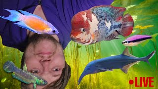 FRIDAY TALKIN' FISH | Welcome to the Weekend My Fishy Friends! LIVE