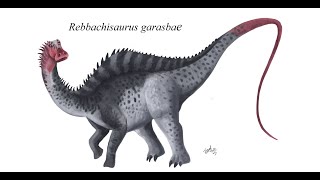 Rebbachisaurus garasbae, Moroccan dinosaur with South America ties!