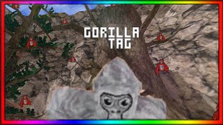 1 Pro Vs 9 Noobs Manhunt Gorilla Tag Vr Dawn Mp3 Mp4 Download Clip