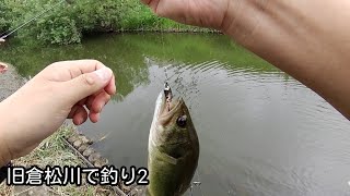 旧倉松川で釣り2 [春日部市]