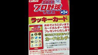 ラッキーカードが出てしまいました！【プロ野球チップス】