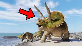 13 Fascinating Triceratops Facts You Need to Know