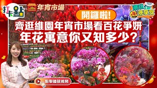 開鑼啦! 齊逛維園年宵市場看百花爭妍　年花寓意你又知多少?【打卡點】