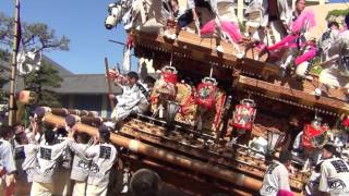 平成29年 本住吉神社宮入 野寄區 東灘だんじり祭り 2017/05/05(金)