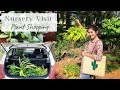 Come Plant Shopping to a Nursery with Me | Garden Up