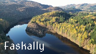 Enchanted Faskally Forest - Pitlochry - Scotland | 4K | DJI Mini 3 Pro