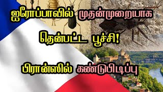 ஐரோப்பாவில் முதன்முறையாக தென்பட்ட பூச்சி! பிரான்ஸில் கண்டுபிடிப்பு