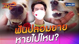 ฟันปลอมยาย หายไปไหน? l HIGHLIGHT แฉข่าวเช้า on TV l 30 มิ.ย. 64 l GMM25