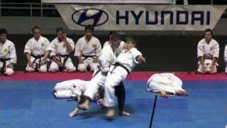 Okinawan Karate demonstration