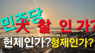 더불어 터진당 犬찰인가?헌제인가 더불당 형제인가??~평생 교육원 사주명리학과교수ㆍ현재포항에서30년 철학관운영중 010 3534 6632