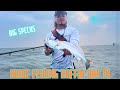 BIG Trout on the Rocks (Baffing Bay / Wadefishing)