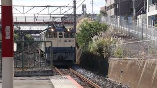 JR武蔵野線東川口駅 EF65牽引貨物列車(空コキ)通過 #jr #武蔵野線 #貨物列車