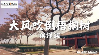 【大风吹倒梧桐树】侯泽润 [ HI-RES 高解析音质 ]