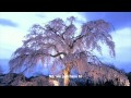 Maher Zain   Open Your Eyes with Lyrics full HD 1080p 1382138494