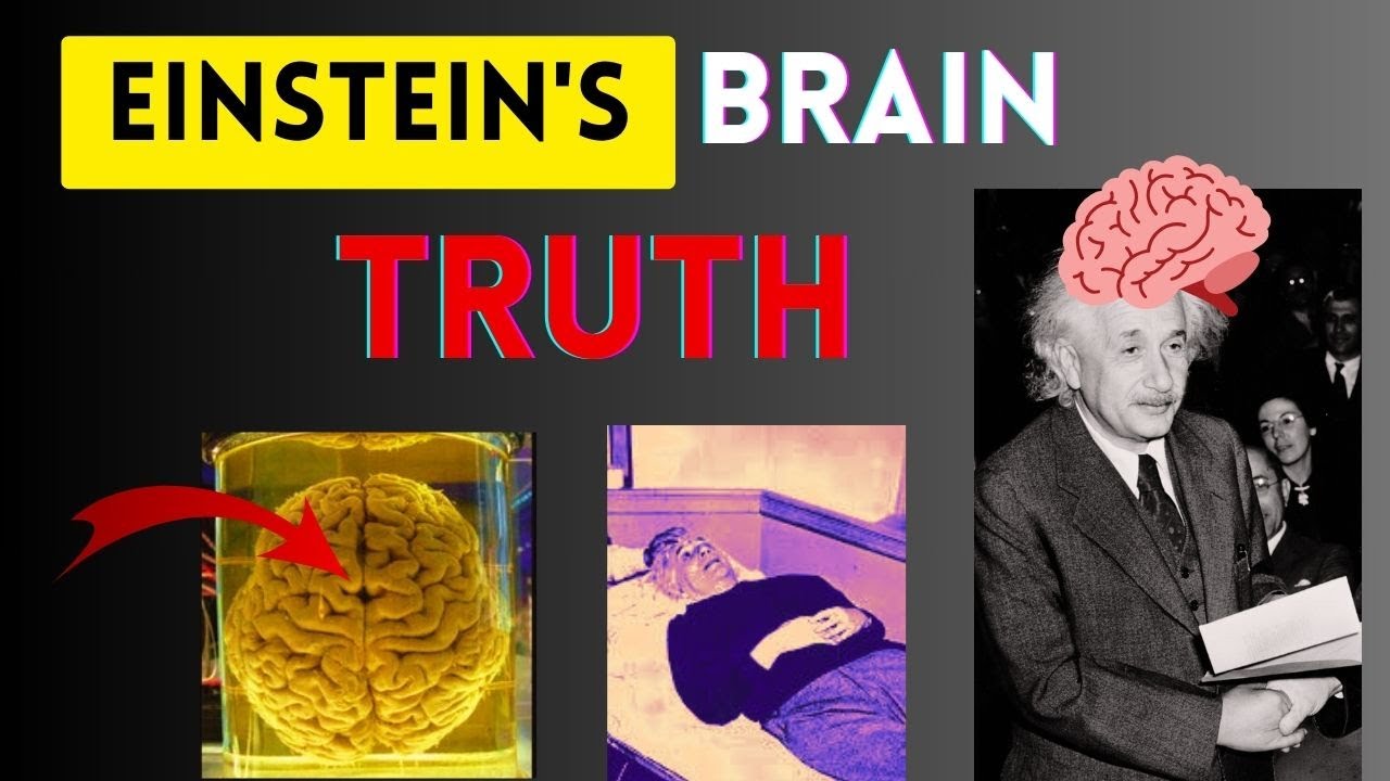 How Einstein S Brain Was Different How It Was Stolen Einstein Brain