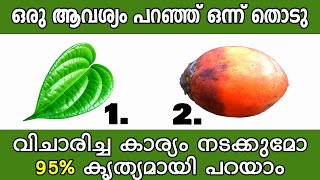 95% കൃത്യമായി പറയാം,ഇപ്പോൾ മനസ്സിലുള്ള കാര്യം നടക്കുമോ ഇല്ലയോ,തൊടുകുറി,thodukuri,astrology