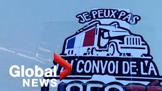 Trucker protests: Misinformation fuels copycats as Canada convoys gain international support